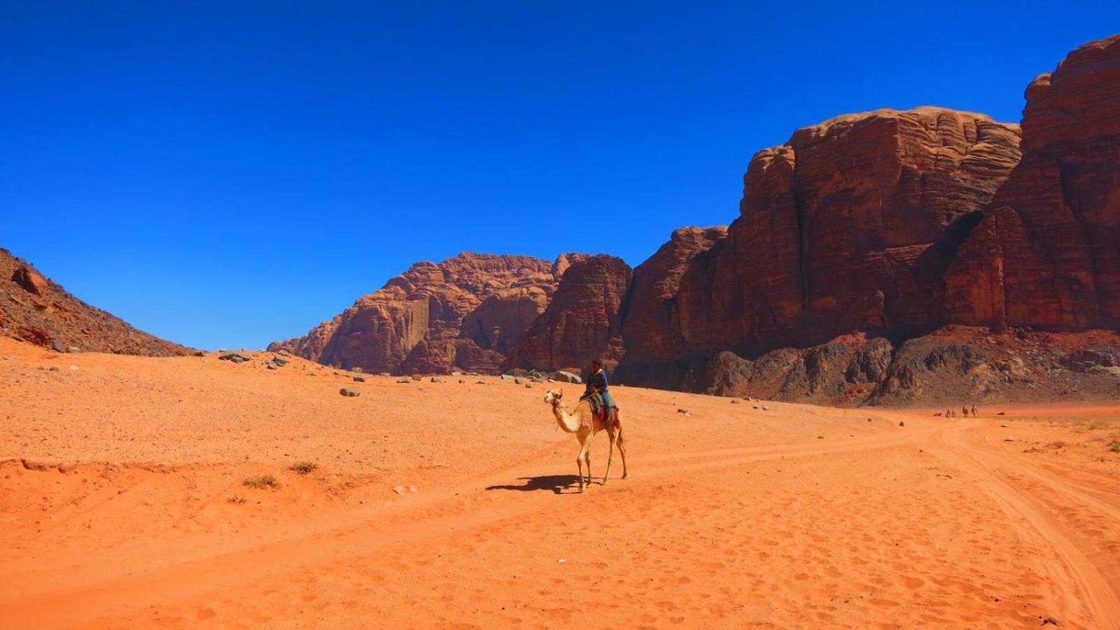 Wadi Rum Magic Nature Camp Exteriör bild