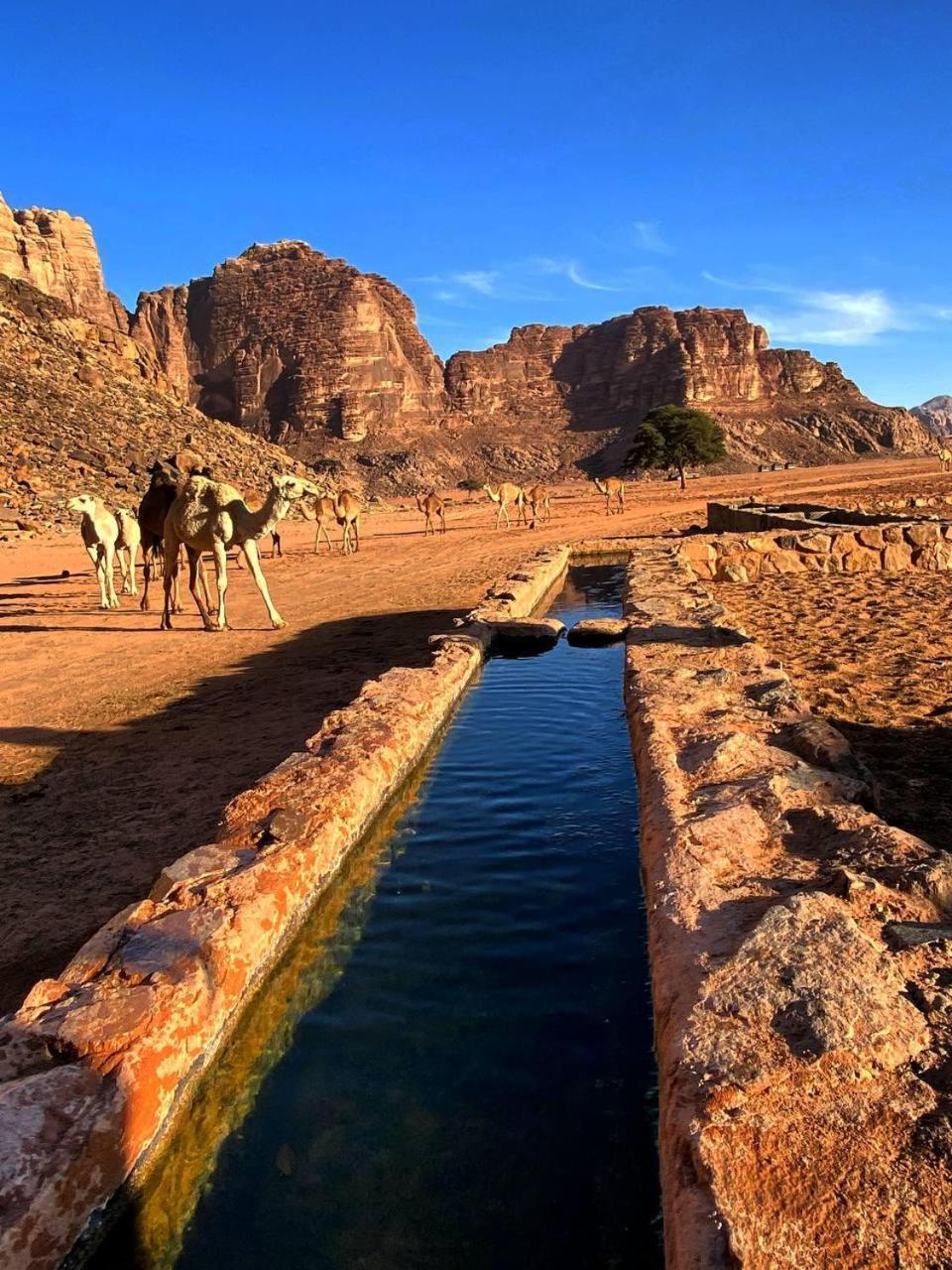 Wadi Rum Magic Nature Camp Exteriör bild